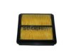 FRAM CA7174 Air Filter